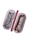 RURUOGUK Double étui à lunettes 2 en 1 double coque rigide pour 2 paires de lunettes ne convient pas aux lunettes de soleil 