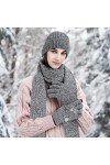 Warmiehomy Chapeau Echarpe Gants Set Ladies Touch Screen Gloves Chapeau avec Doublure Echarpe Chaude Chapeau Gants Set Men as