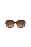 Coach Womens L149 Sunglasses HC8169 Black/Brown Plastic - Non-Polarized - 57mm