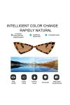 Ba30DEllylelly Cat Eye Femmes Lunettes de Soleil Triangle irrégulier UV400 Lunettes Lunettes de Soleil Lunettes de Soleil PC