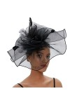 ITODA Fascinator Chapeau Femme Cocktail Party Chapeau Bibis Plumes Voilette Fleur Mariage Coiffure avec Bandeau et Clip Acces