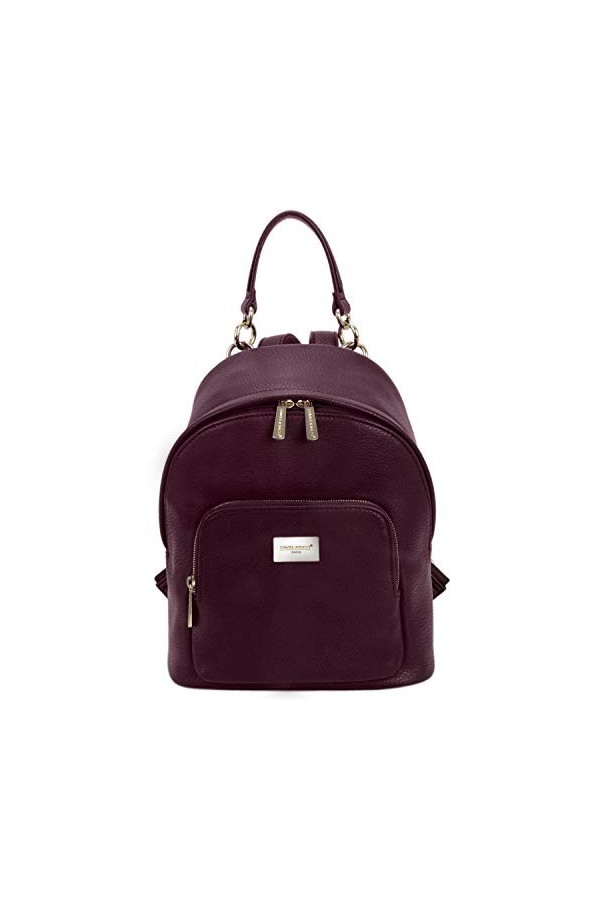 David Jones - Petit Sac à Dos Femme - Sac à Main Porté Epaule Fille Cuir PU - Mini Cartable Ville Poignée Poche Fermeture Ecl