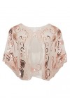 BABEYOND Châle Vintage des Années 1920s pour Femme Cape de Flapper pour Mariage Accessoires Charleston 20s Boléro Style Gatsb