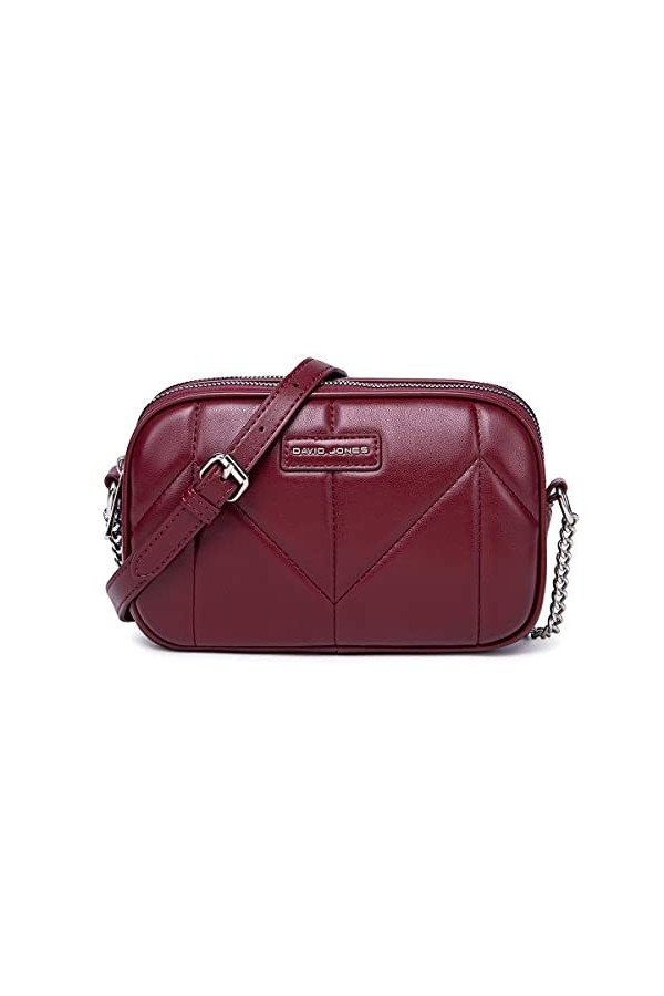 David Jones - Petit Sac Bandoulière Femme Multipoche Zip - Besace Sacoche Téléphone Simili Cuir PU Porté Epaule 2 Compartimen