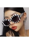 Lunettes de soleil surdimensionnées ovales multicolores zébré pour homme et femme