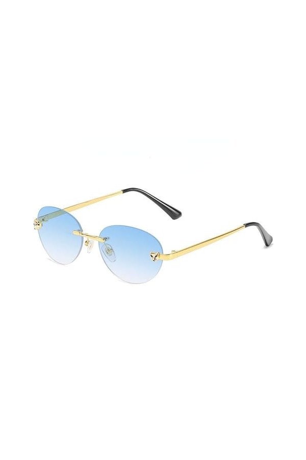 CABTRA Lunettes De Soleil Sports De Plein Air Parasol Lunettes De Soleil DÉquitation Pour Hommes Et Femmes