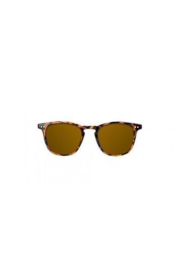 NORTHWEEK Lunettes de soleil Mixte, Wall Tortoise