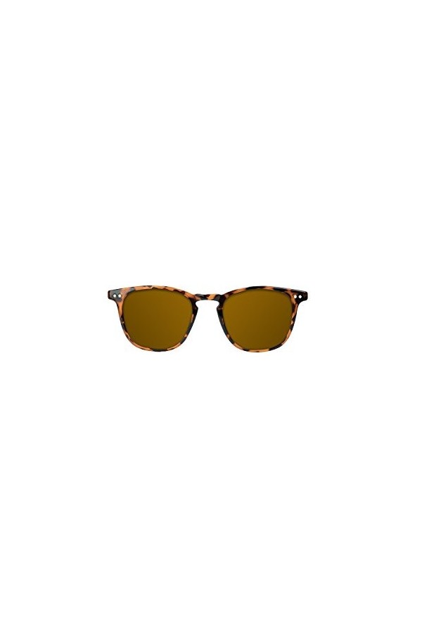 NORTHWEEK Lunettes de soleil Mixte, Wall Tortoise