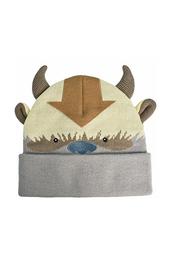 Concept One Avatar The Last Airbender Appa Acrylic Knitted Winter Hat Beanie with Cuff Bonnet Mtze, Multicolore, Taille Uniqu