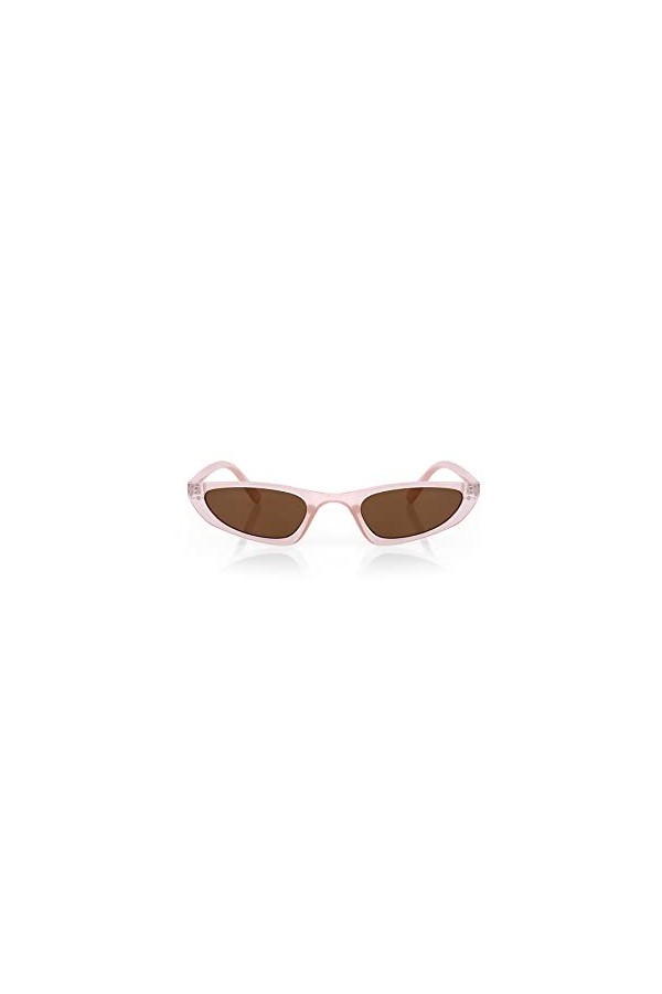 Bilge Karga Morve&nbsp; Lunettes de soleilmarron