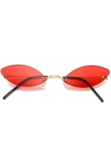 NIUASH Lunettes de Soleil polarisées Petites Lunettes de Soleil Oeil de Chat Femme Lunettes de Soleil sans Monture en métal F