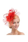 SJTJSPX Fascinator Chapeau de Mariage Femme Chapeau Bibi Elégante Voilette Voile Mariée Bandeau et Clip Dames Day Coiffure Vi