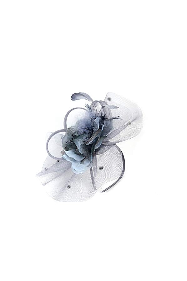 SJTJSPX Fascinator Chapeau de Mariage Femme Chapeau Bibi Elégante Voilette Voile Mariée Bandeau et Clip Dames Day Coiffure Vi