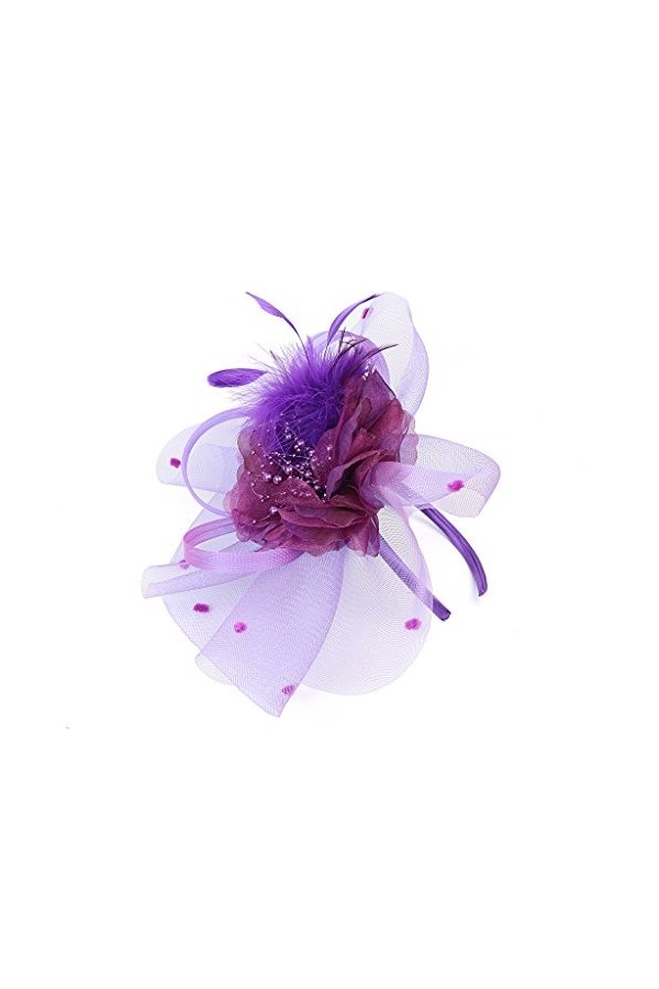 SJTJSPX Fascinator Chapeau de Mariage Femme Chapeau Bibi Elégante Voilette Voile Mariée Bandeau et Clip Dames Day Coiffure Vi