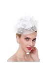 AHDMR Bibi Mariage Femme Chapeau de Mariée Maille Chic Bibi à Plumes Élégant Béret de Fête Vintage Pince/Bandeau à Cheveux Ma