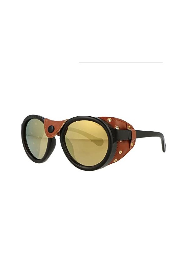 HPIRME Steam Punk Lunettes de soleil ovales coupe-vent pour hommes et femmes UV400 Vintage Lunettes,8,Taille unique
