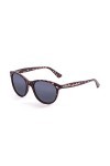 Paloalto Sunglasses P58000.7 Lunette de Soleil Femme, Marron
