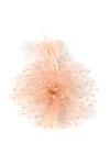 YiyiLai Chapeau Bibi Femme Tulle Plume Pince à Cheveux Serre-tête Bordeau