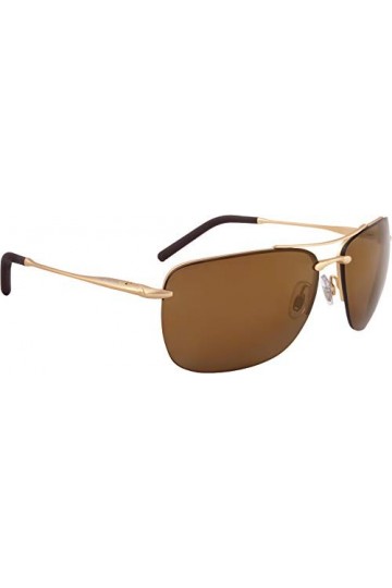 ALPINA Unisexe - Adultes, CLUU Lunettes de soleil, gold, One Size