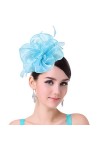 Brawlady Chapeau bibi en organza, fleur avec clips, Kentucky Derby, cocktail, thé pour femmes et filles, 5349 Bleu lac