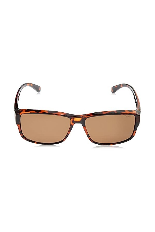 Polaroid Ancillaries P8406 Sunglasses, 0BM/IG Havana, 61 Unisex