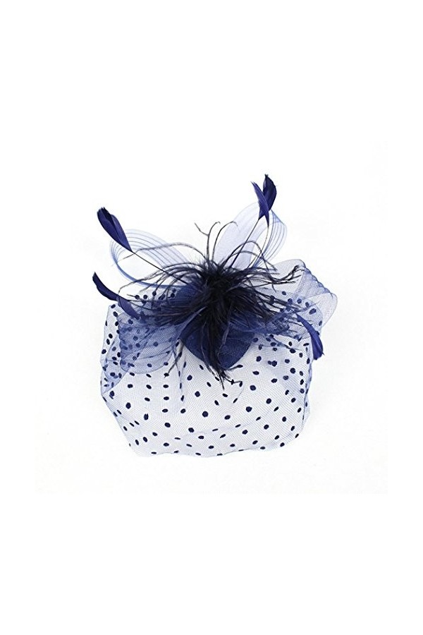 Chapeau rétro, YUYOUG Fascinator Chapeau Bibi à Voile avec Plume pour Mariage Cérémonie Soirée Beige 
