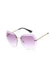 YINROM Lunettes de Soleil rétro Femme et Homme Color : Purple Gray 