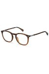 Polaroid PLD D431/f Sunglasses, 9N4/21 Havana Brown, 52 Unisex