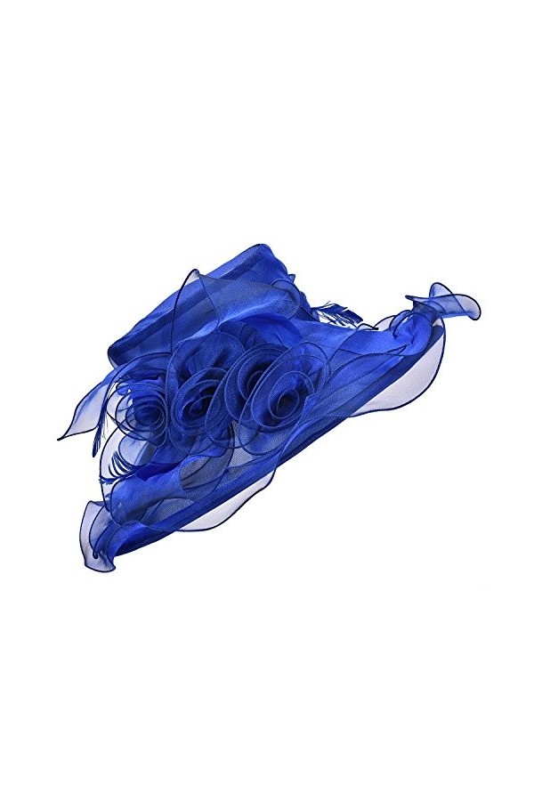 Lawliet Chapeau dorganza pour femme avec large bord et plumes pour église, mariage, course de chevaux Royal Ascot et Kentuck