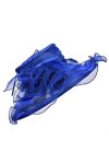 Lawliet Chapeau dorganza pour femme avec large bord et plumes pour église, mariage, course de chevaux Royal Ascot et Kentuck