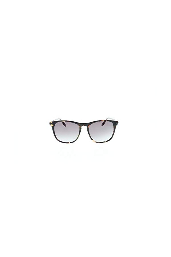 HIS HS430-007 Havanna Lunettes de soleil