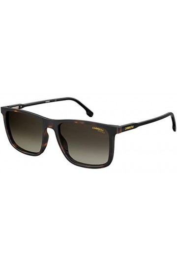 Carrera 231/s Sunglasses, 086/HA Havana, 55 Unisex
