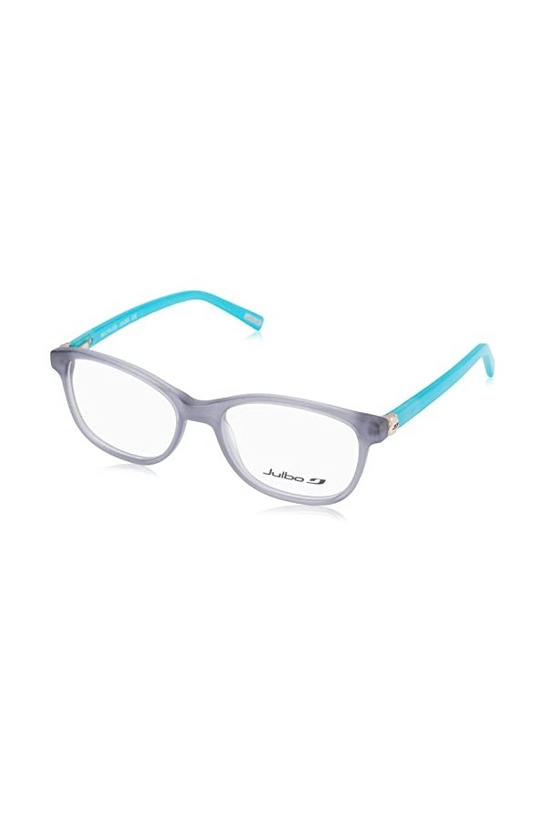 Julbo Brunel Lunettes de Soleil, Gris/Bleu, 46 Femme