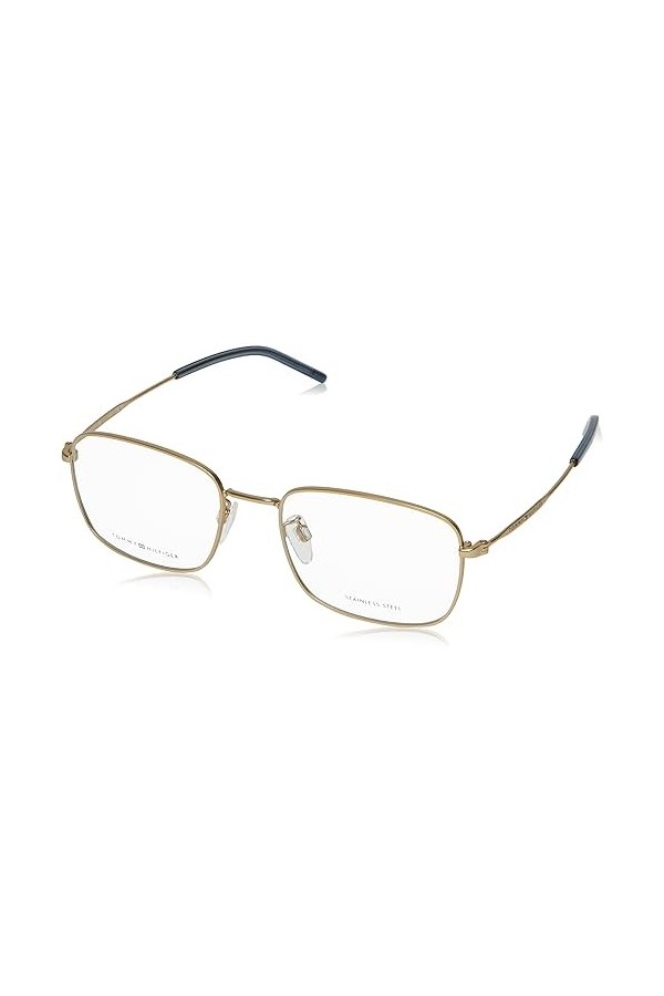 Tommy Hilfiger Th 1934/f Sunglasses, AOZ/19 Matte Gold, 55 Unisex
