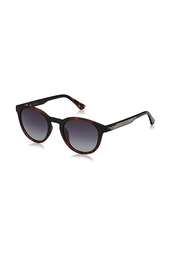 Police SPLF16 Sunglasses, Avana ANTICATO, 51 Unisex