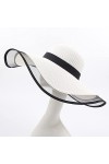 LUMoony 1Pcs Femmes Chapeaux de Soleil Chapeau de Paille Pliable Chapeau de Soleil Large Bord Mesh Plage Voyage Chapeau de Pa