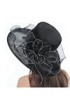 YUEMING Chapeau de Mariage Femme Capeline Chapeau de Soleil Pliable Organza Casquette Chapeau dEglise Cérémonie de Bibi Fasc