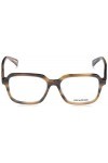 Zadig & Voltaire Vzv348 Lunettes de Soleil, Haut Bruns Brillant+Miel rayé, 53 Femme