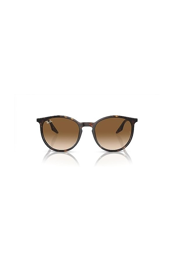 Ray-Ban Lunettes de soleil unisexes Rb2204, Havane/marron dégradé transparent, 51 mm