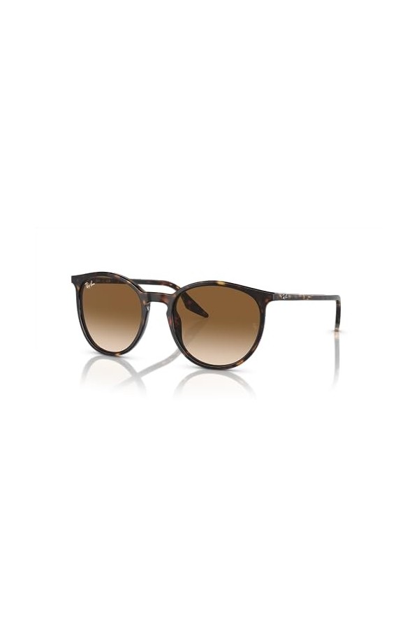 Ray-Ban Lunettes de soleil unisexes Rb2204, Havane/marron dégradé transparent, 51 mm