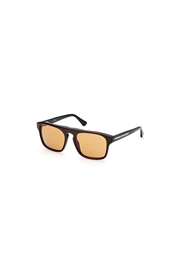 WEB Lunettes de soleil unisexe WE0325 Marrone Scuro/altro/marron 55, Marrone Scuro/Altro / Marrone