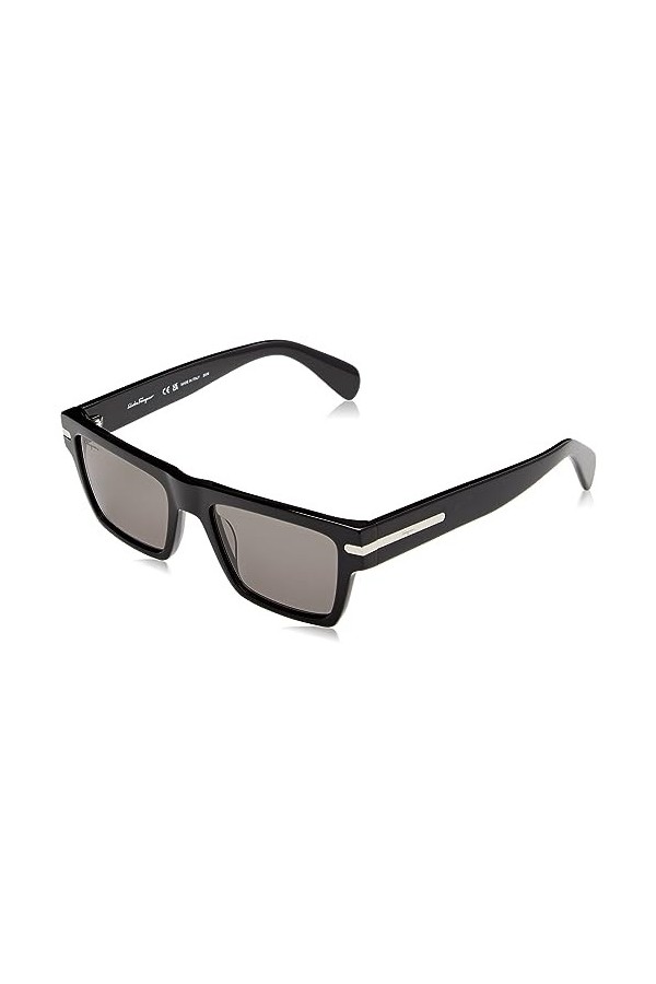 Salvatore Ferragamo Sf1086s Sunglasses, 001 Black, 54 Unisex