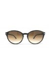 Persol Lunettes de soleil en plastique pour femme avec monture en corne verte/verres dégradés marron 54 mm