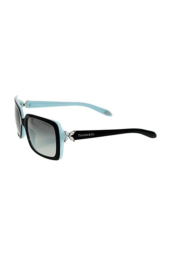 Tiffany & Co 4047B 80553C Lunettes de soleil Femme Noir/Bleu