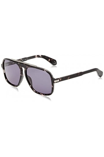 Police SPLE20 Sunglasses, Avana Grigio/Nero LUCIDO, 60 Unisex