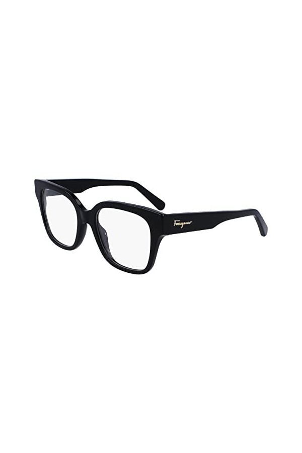 Salvatore Ferragamo Sf2952 Sunglasses, 001 Black, 53 Unisex