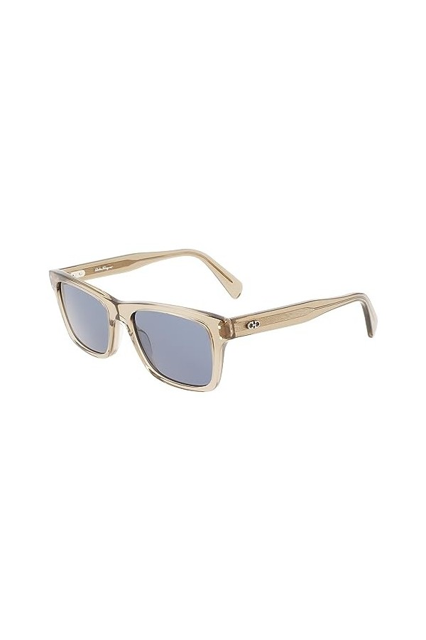 Salvatore Ferragamo Sf1039s Sunglasses, 278 Transparent Sand, 54 Unisex