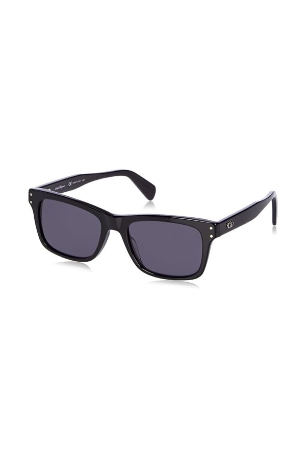Salvatore Ferragamo Sf1039s Sunglasses, 001 Black, 54 Unisex