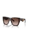 Dolce & Gabbana Lunettes de Soleil DG 4438 Havana Gold/Brown Shaded 55/17/145 femme