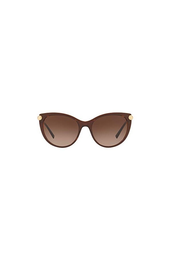 Ray-Ban 0VE4364Q Montures de Lunettes, Noir Top Brown/Transparente , 55.0 Femme